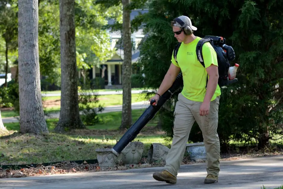 Our Expertise in Rodent Control